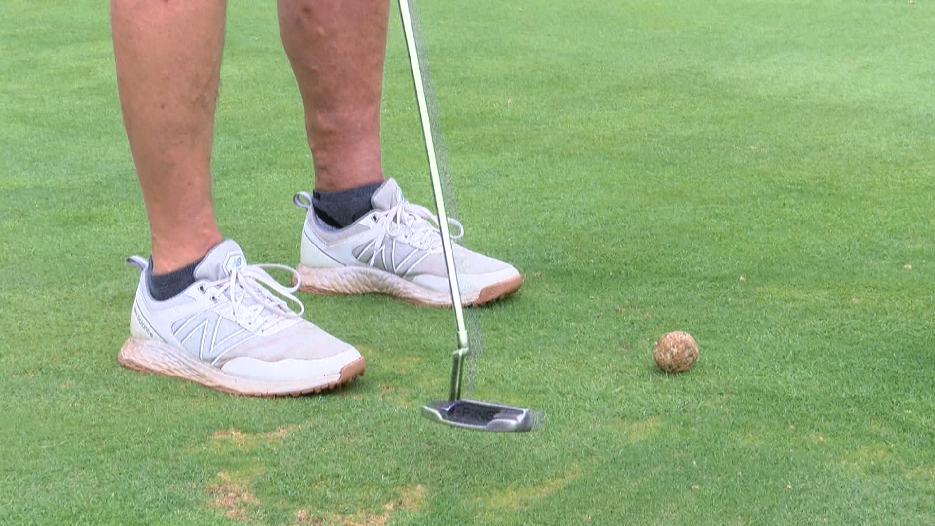 Chico Sons and Daughters of Italy Meatball Putting Contest